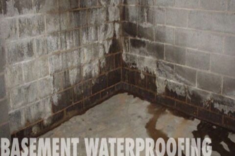 The Wet Basement Water proofing.