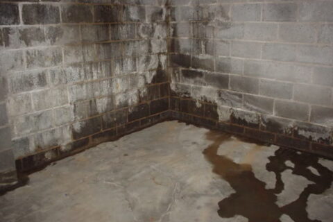 Wet Basement