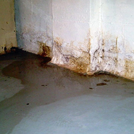 Everdry Waterproofing & Foundation Repair - 03/15/24