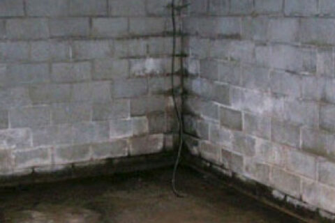 leaky basement