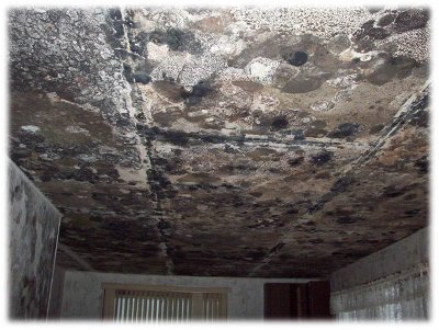 The roof with water leakage in home at Milwaukee, WI