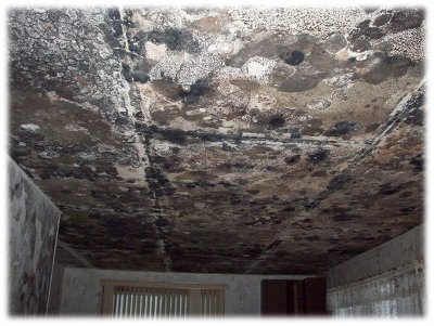 The roof with water leakage.