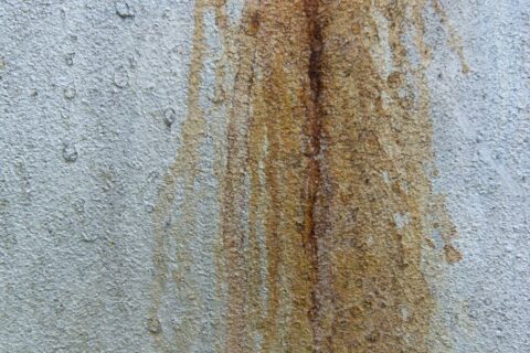 Wall with mold from moisture in Milwaukee, WI.