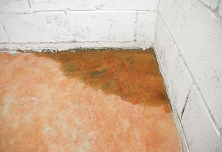 Water in the basement of a Milwaukee, WI home