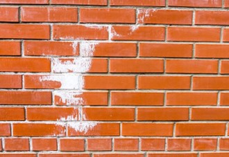White efflorescence on a red brick wall in Milwaukee, WI.