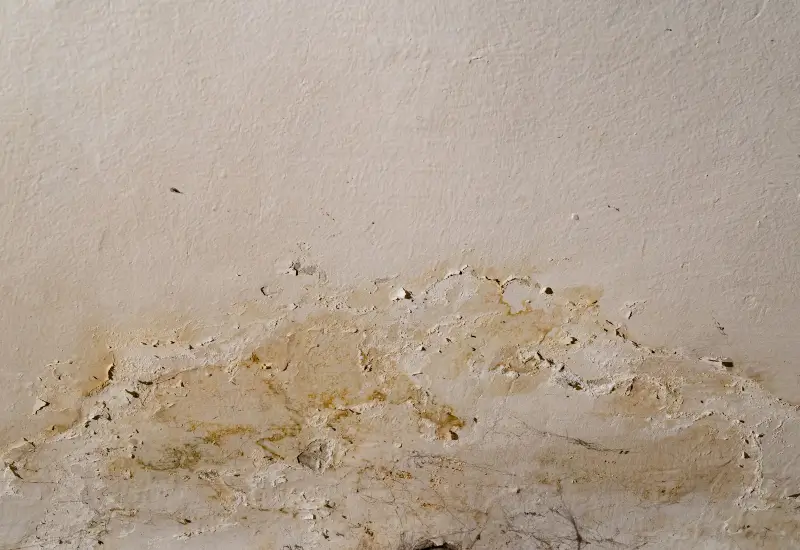 A white basement wall with mold on it in Johnson Creek, WI